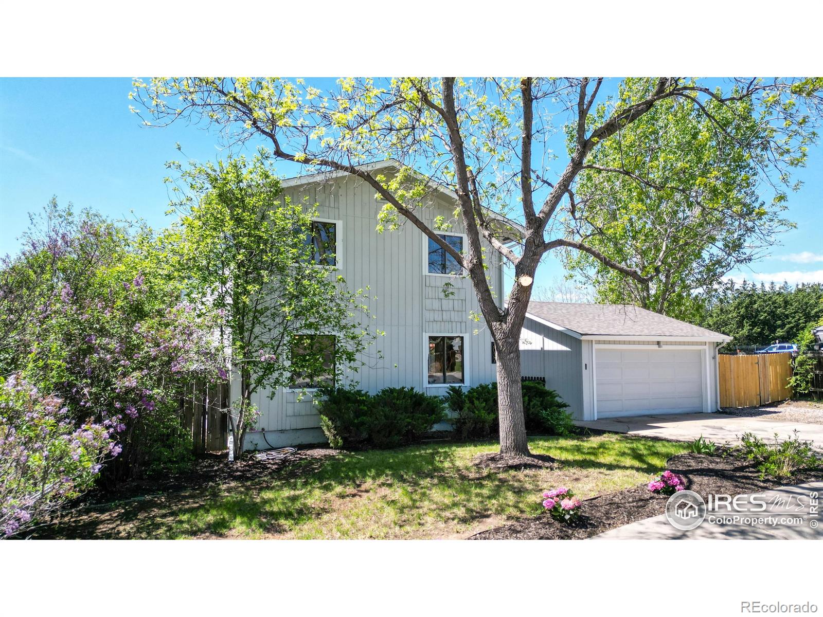 MLS Image #2 for 2037  derby court,fort collins, Colorado