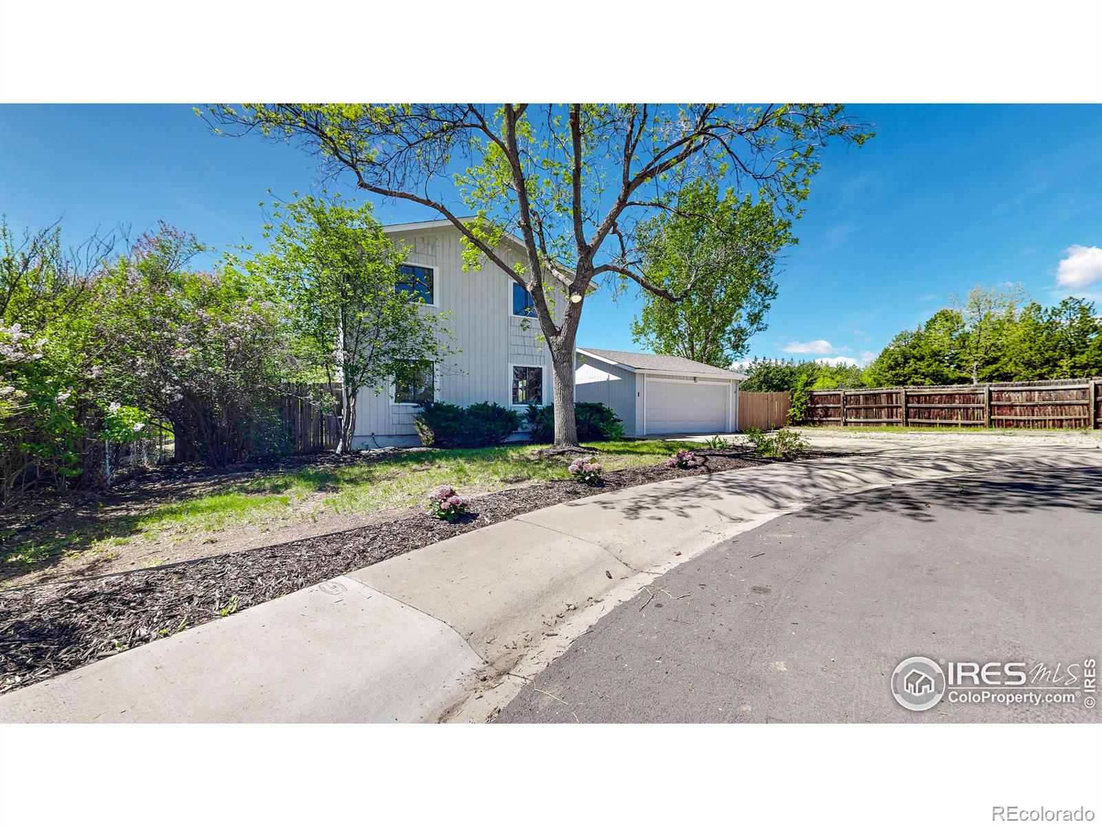 MLS Image #38 for 2037  derby court,fort collins, Colorado