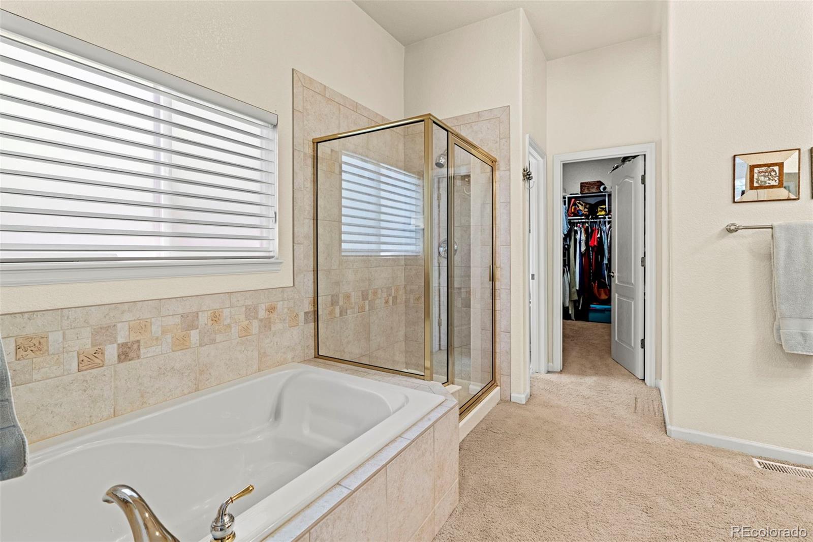 MLS Image #11 for 7011 s valdai street,aurora, Colorado