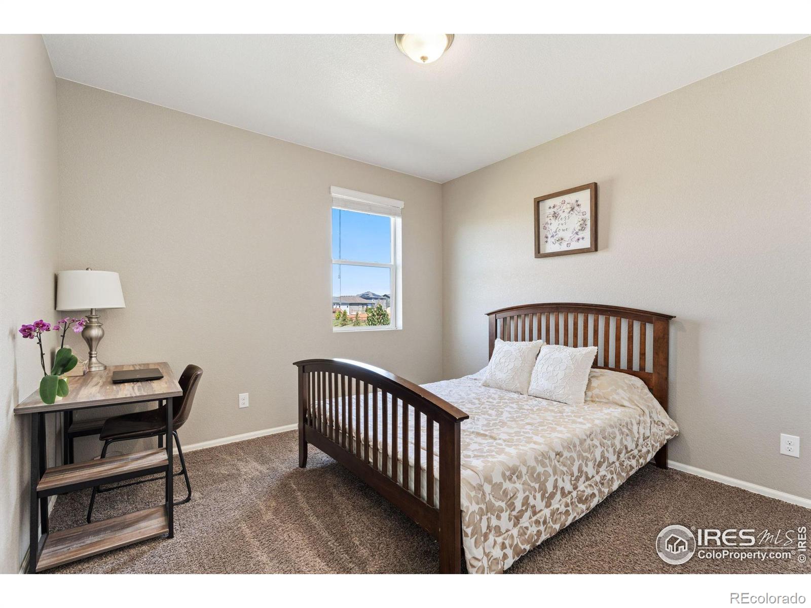 MLS Image #14 for 908  charlton drive,windsor, Colorado