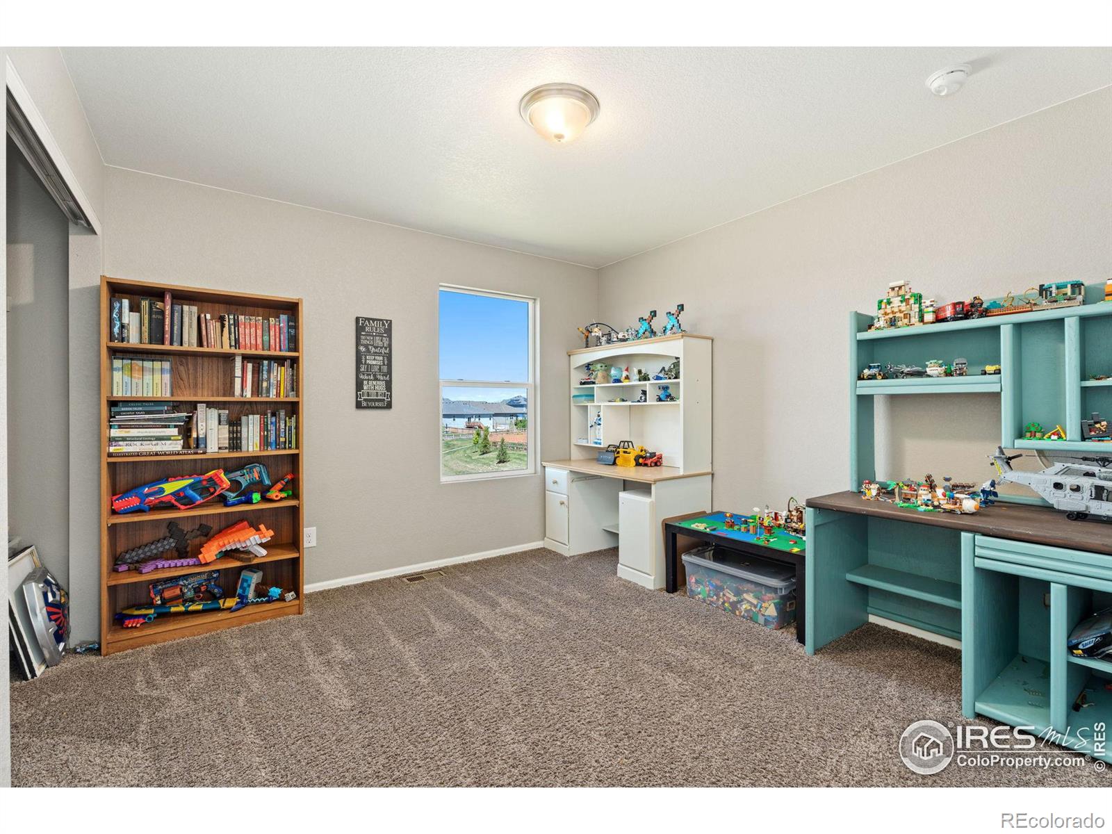 MLS Image #24 for 908  charlton drive,windsor, Colorado