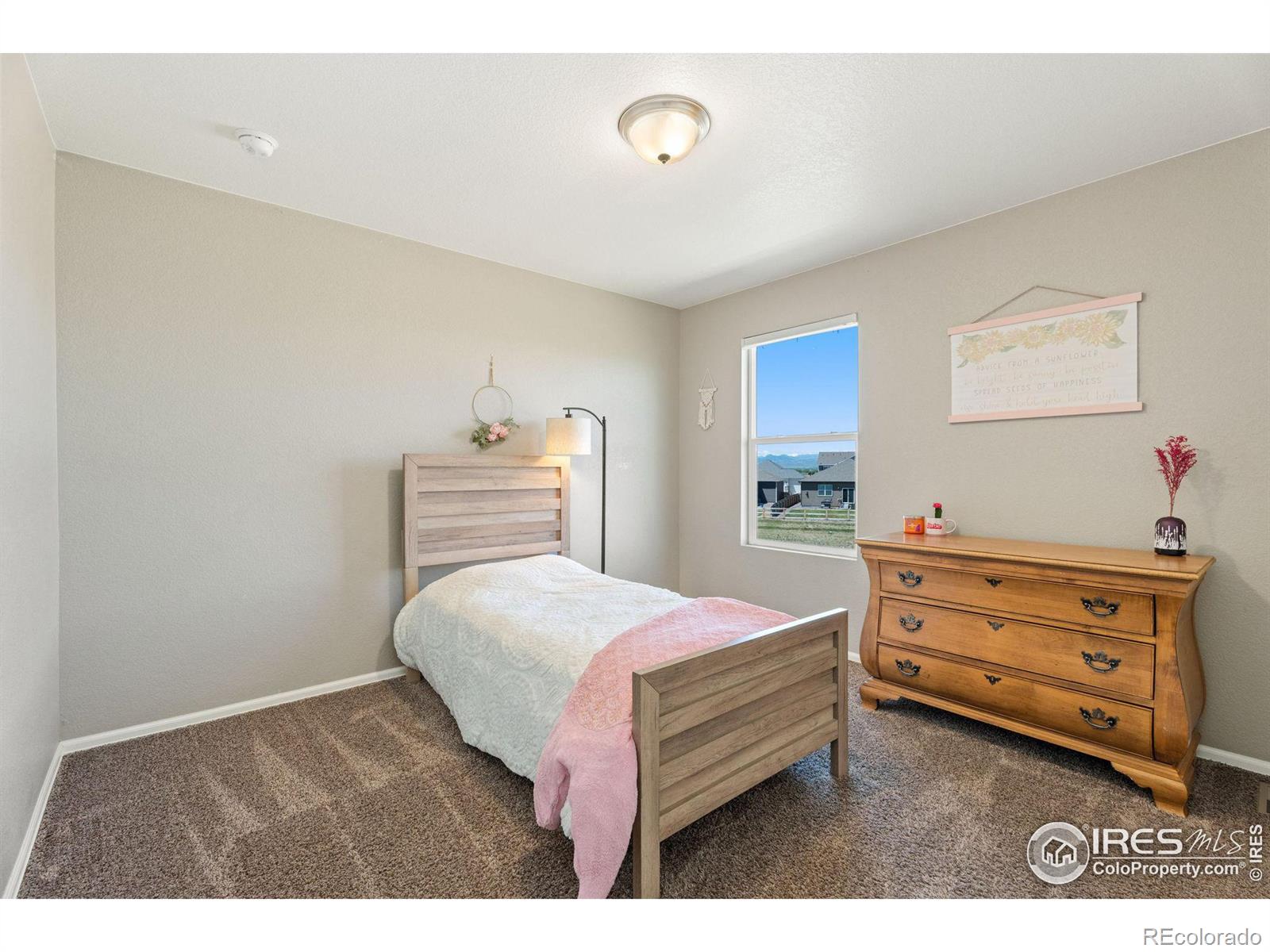 MLS Image #26 for 908  charlton drive,windsor, Colorado