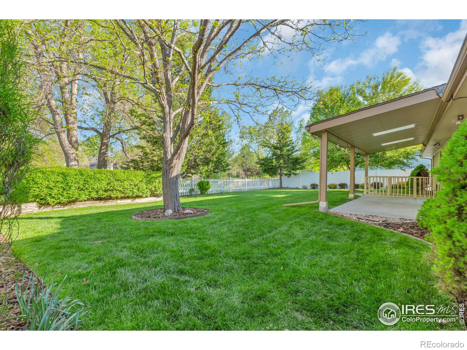 MLS Image #28 for 3242  lochwood drive,fort collins, Colorado