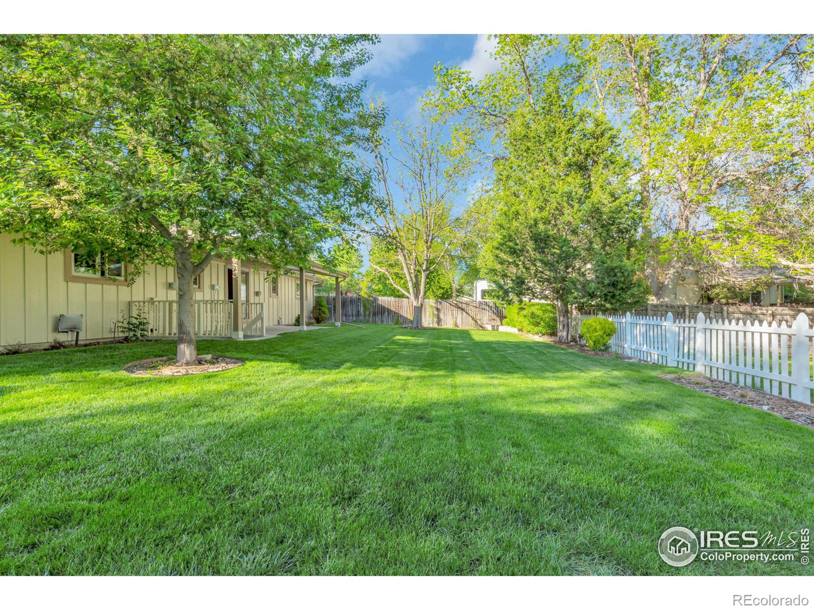 MLS Image #29 for 3242  lochwood drive,fort collins, Colorado