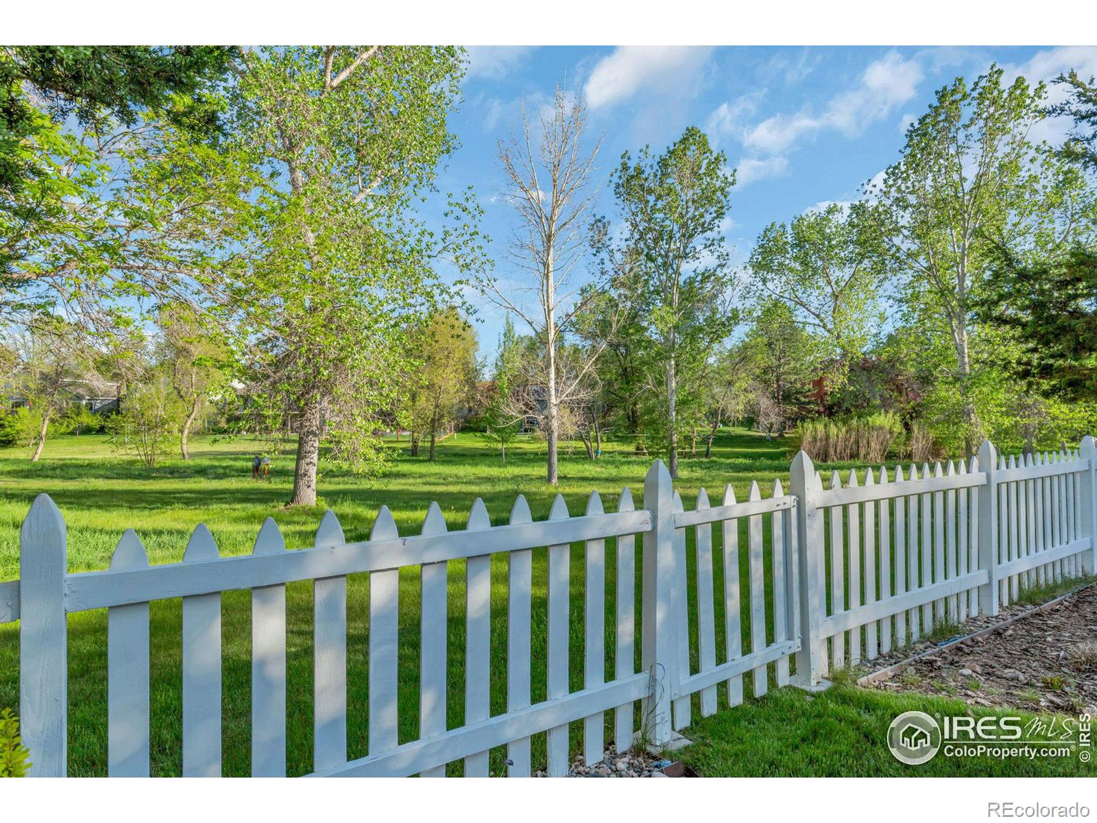 MLS Image #3 for 3242  lochwood drive,fort collins, Colorado