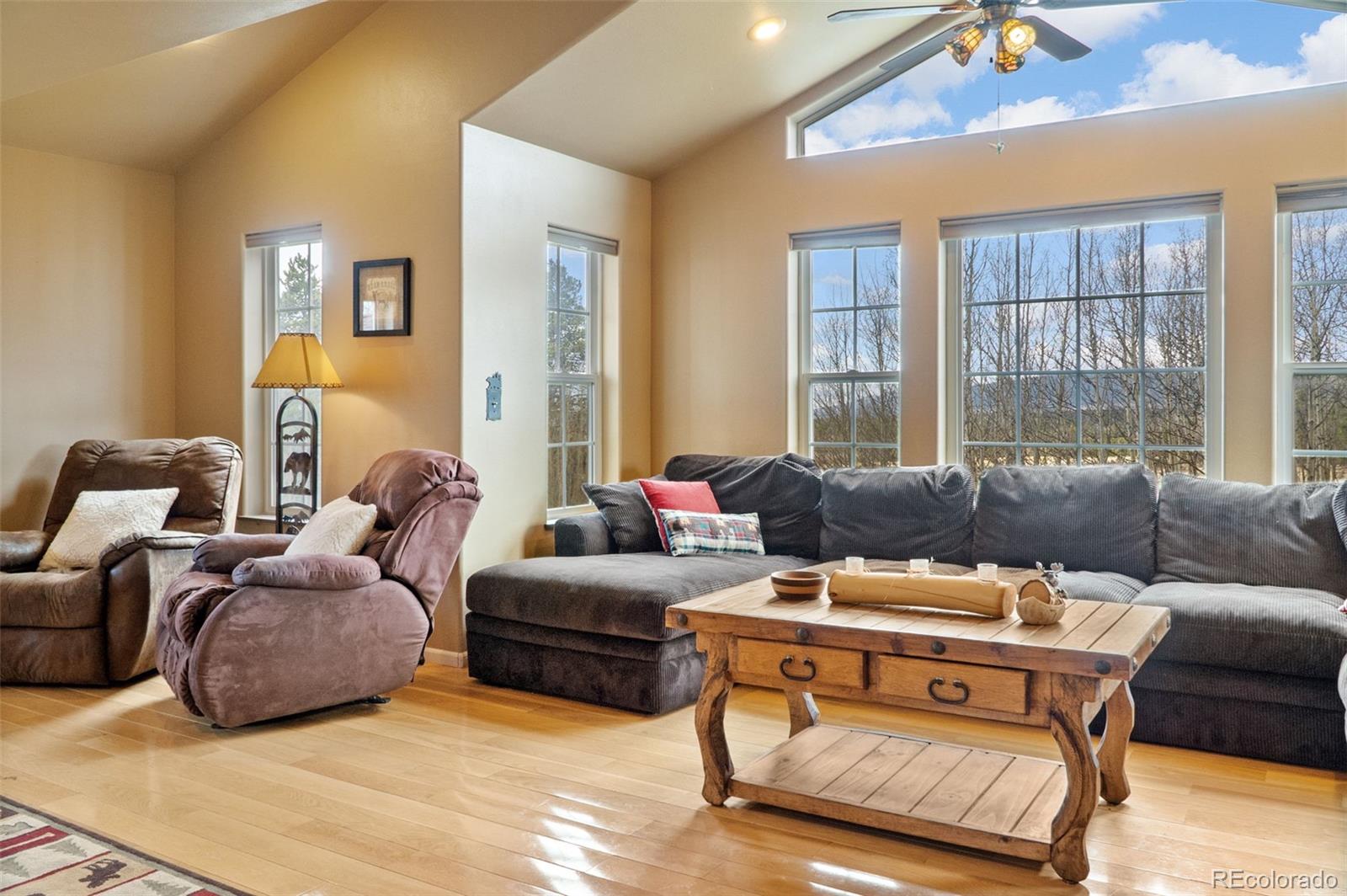 MLS Image #26 for 26  vine drive,fairplay, Colorado