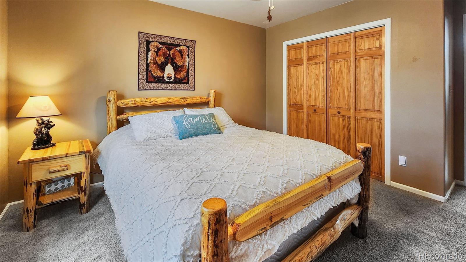 MLS Image #28 for 26  vine drive,fairplay, Colorado