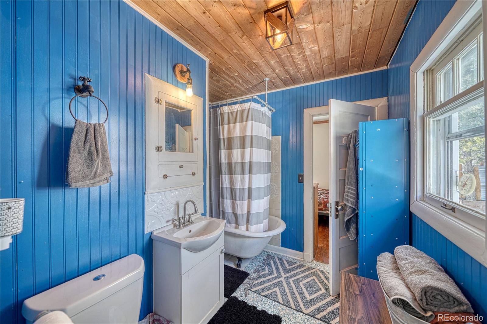 MLS Image #14 for 1704  mount wilson drive,leadville, Colorado