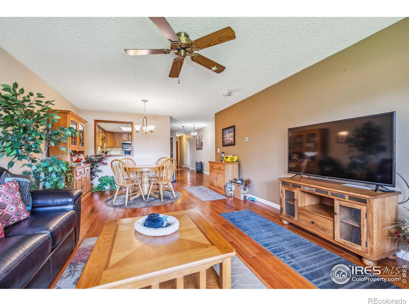 MLS Image #19 for 1100  taft avenue,loveland, Colorado