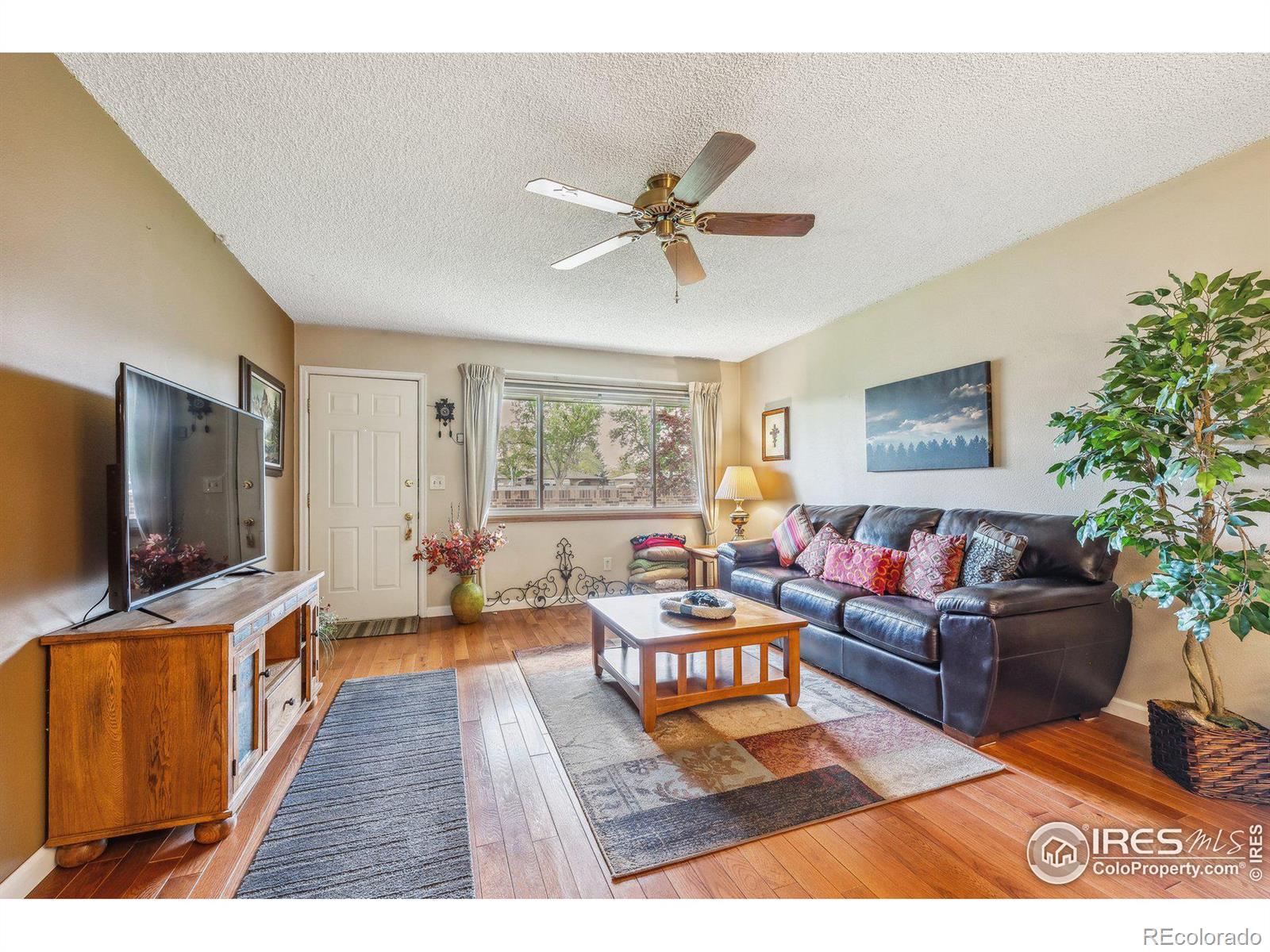 MLS Image #5 for 1100  taft avenue,loveland, Colorado