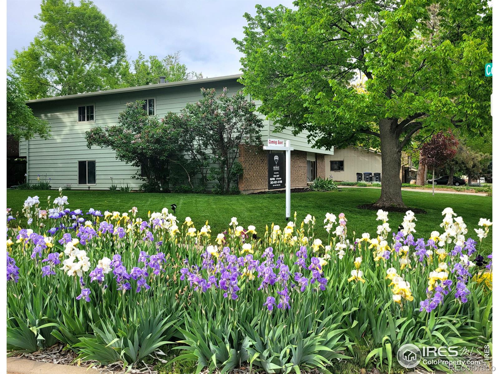 MLS Image #0 for 1315  acropolis drive,lafayette, Colorado