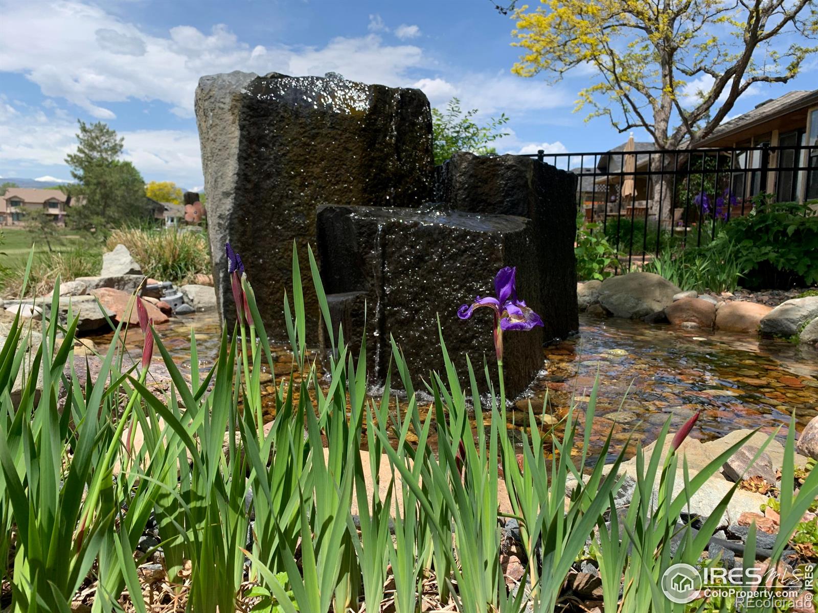 MLS Image #36 for 3505  camden drive,longmont, Colorado