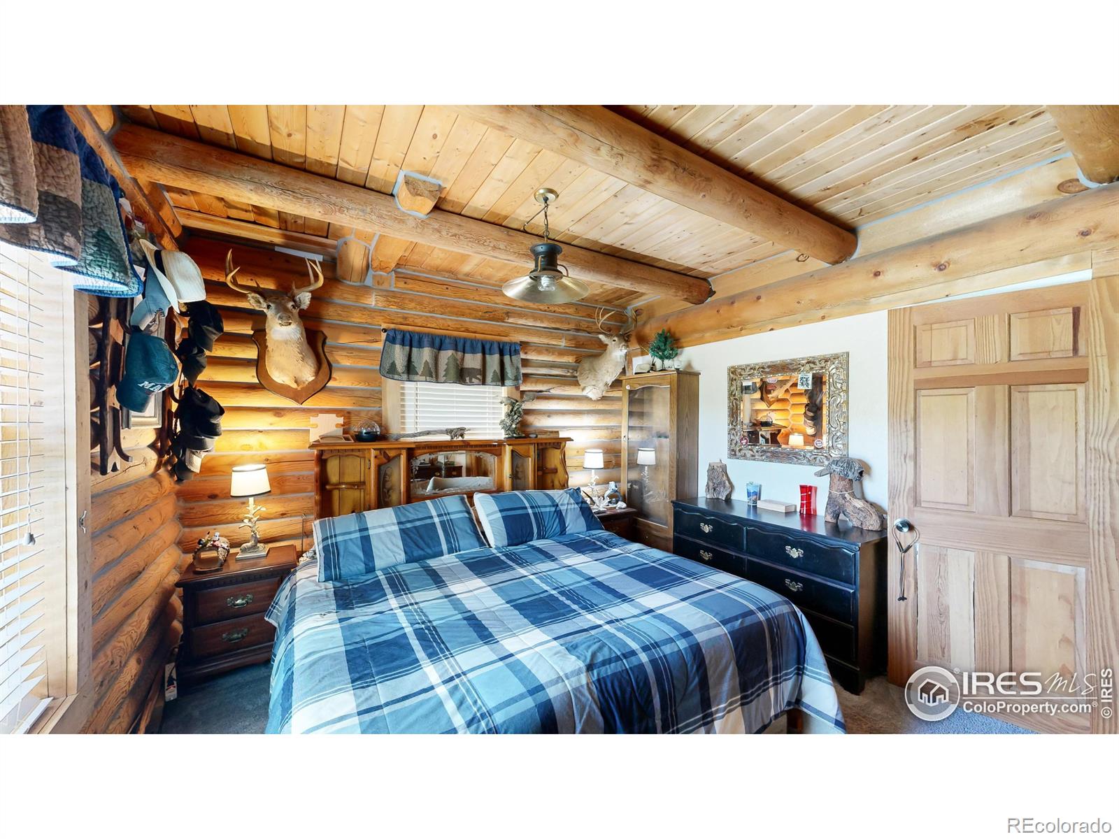 MLS Image #12 for 55  chipmunk place,drake, Colorado