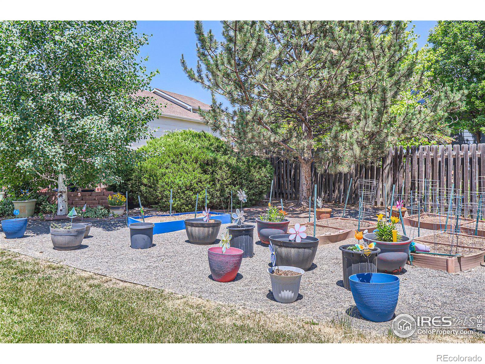 MLS Image #3 for 1806  antero court,fort collins, Colorado