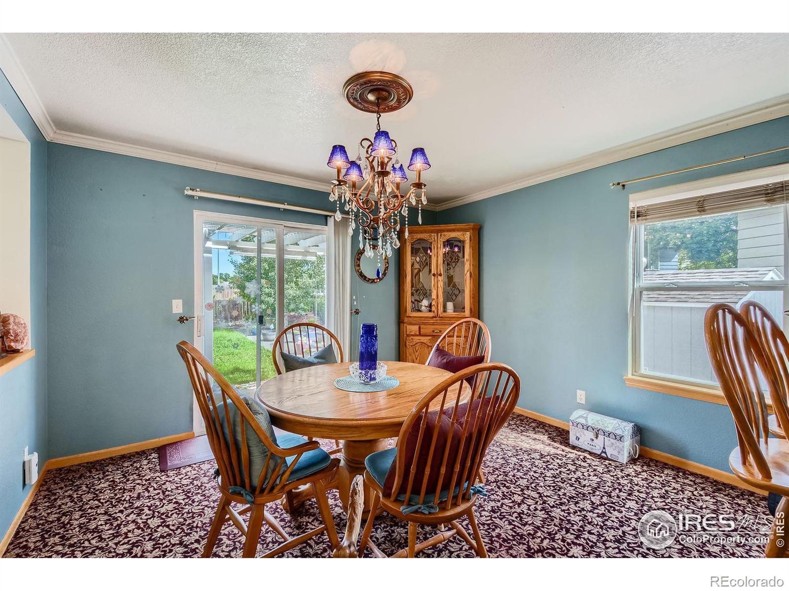 MLS Image #9 for 1806  antero court,fort collins, Colorado