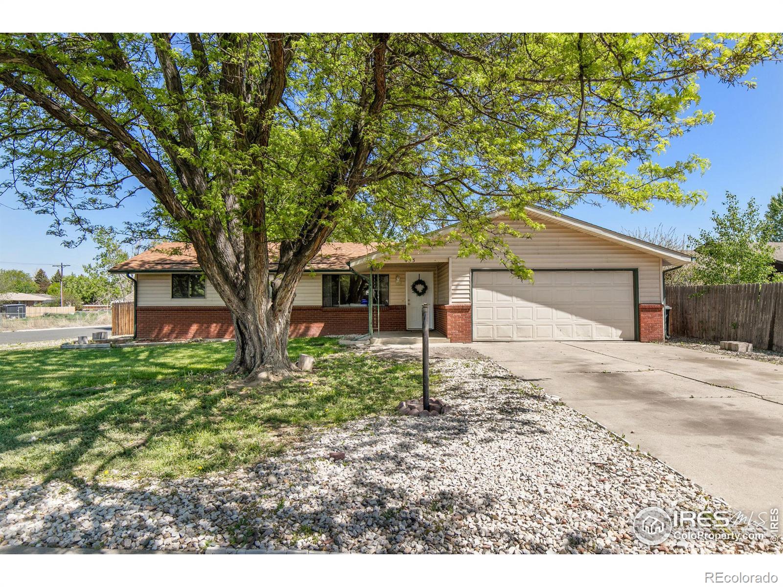 MLS Image #20 for 433  limber place,loveland, Colorado