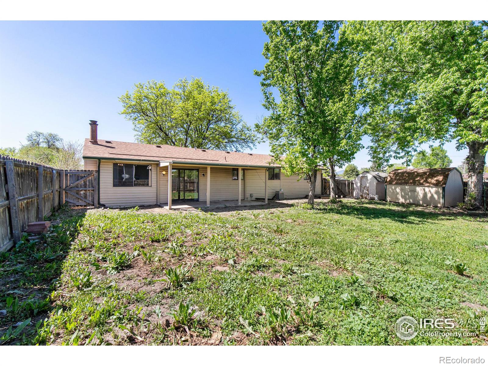 MLS Image #23 for 433  limber place,loveland, Colorado