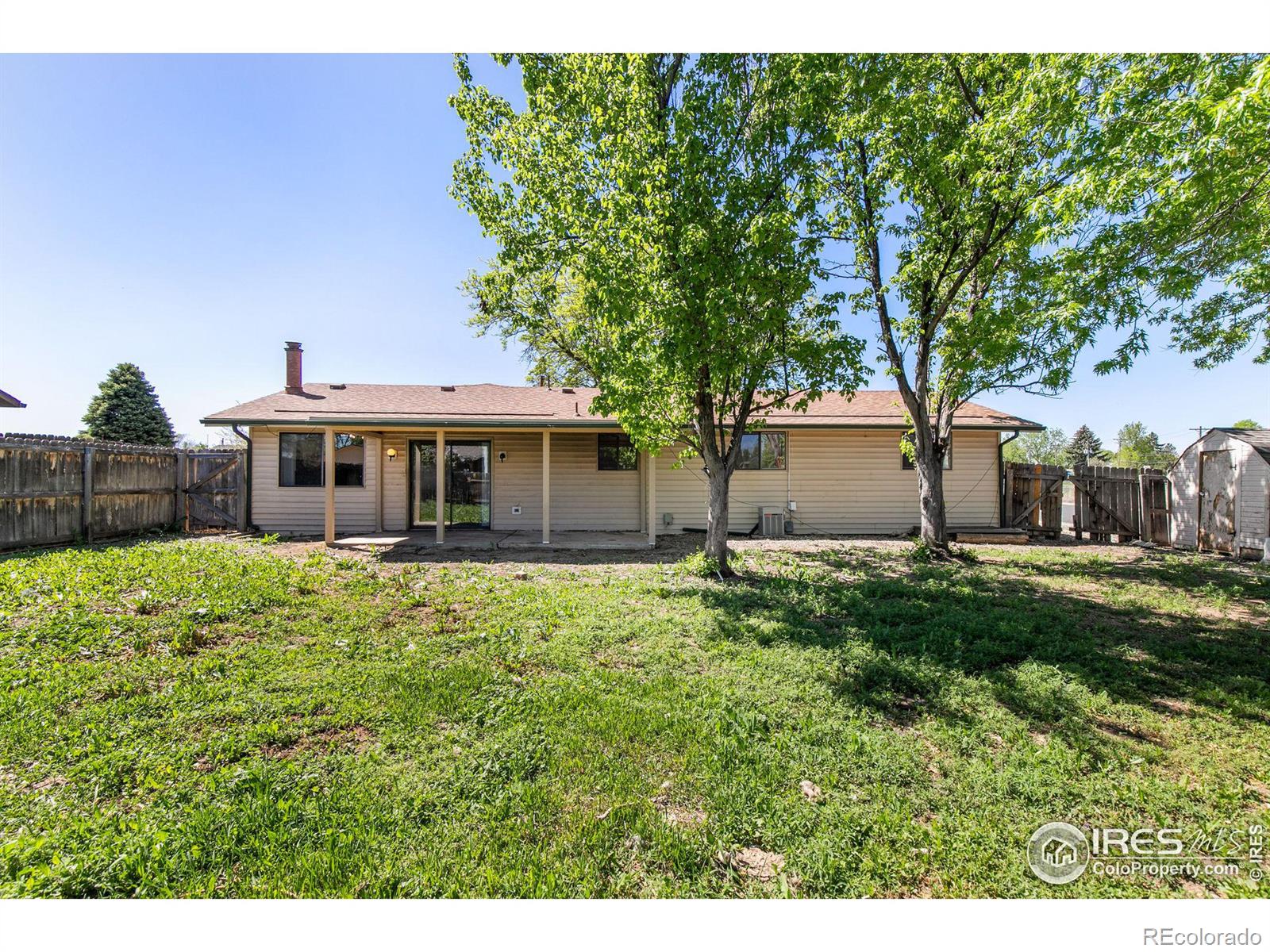 MLS Image #24 for 433  limber place,loveland, Colorado