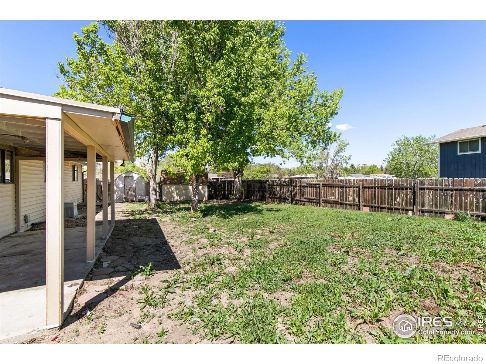 MLS Image #25 for 433  limber place,loveland, Colorado