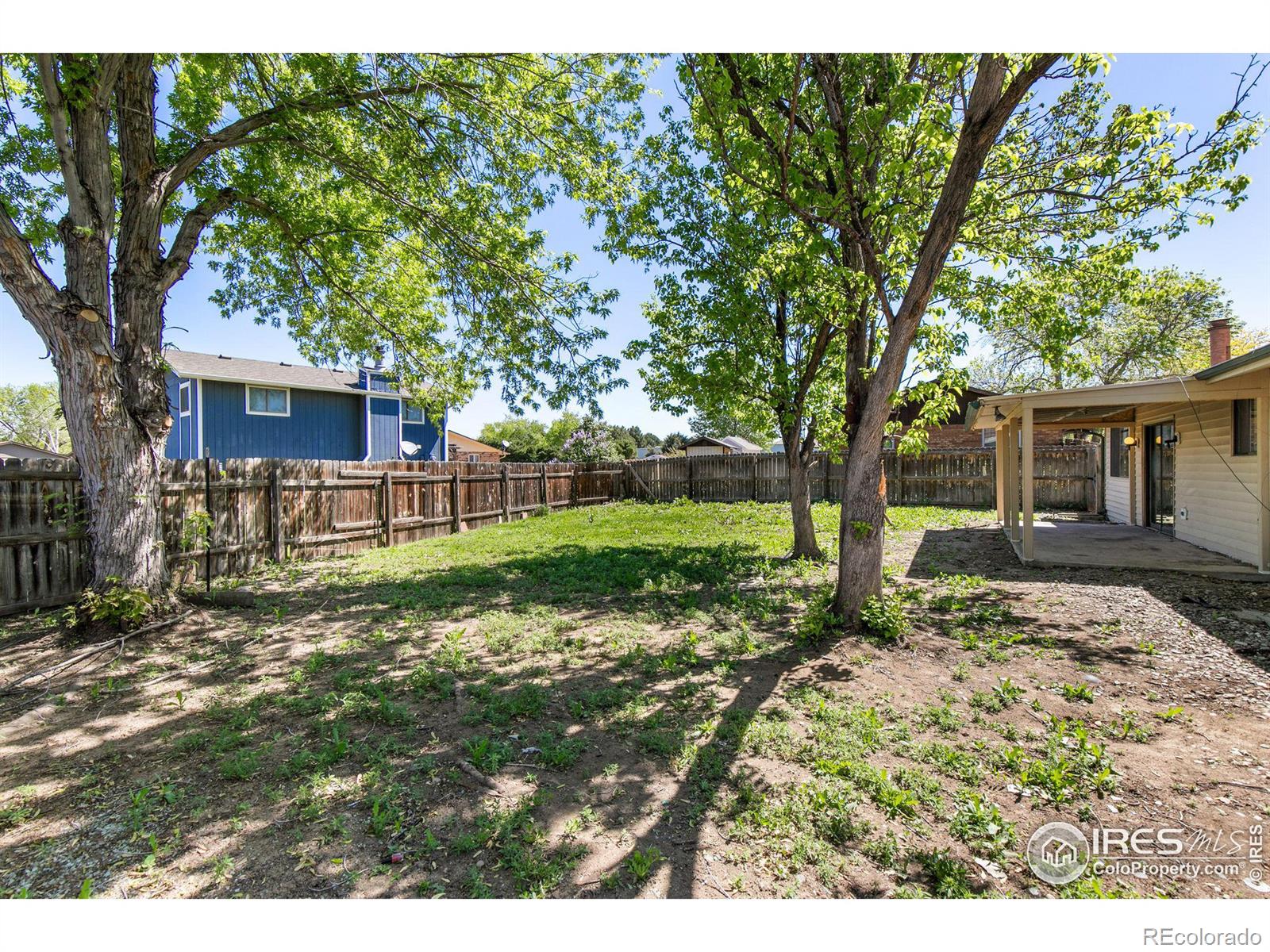 MLS Image #28 for 433  limber place,loveland, Colorado