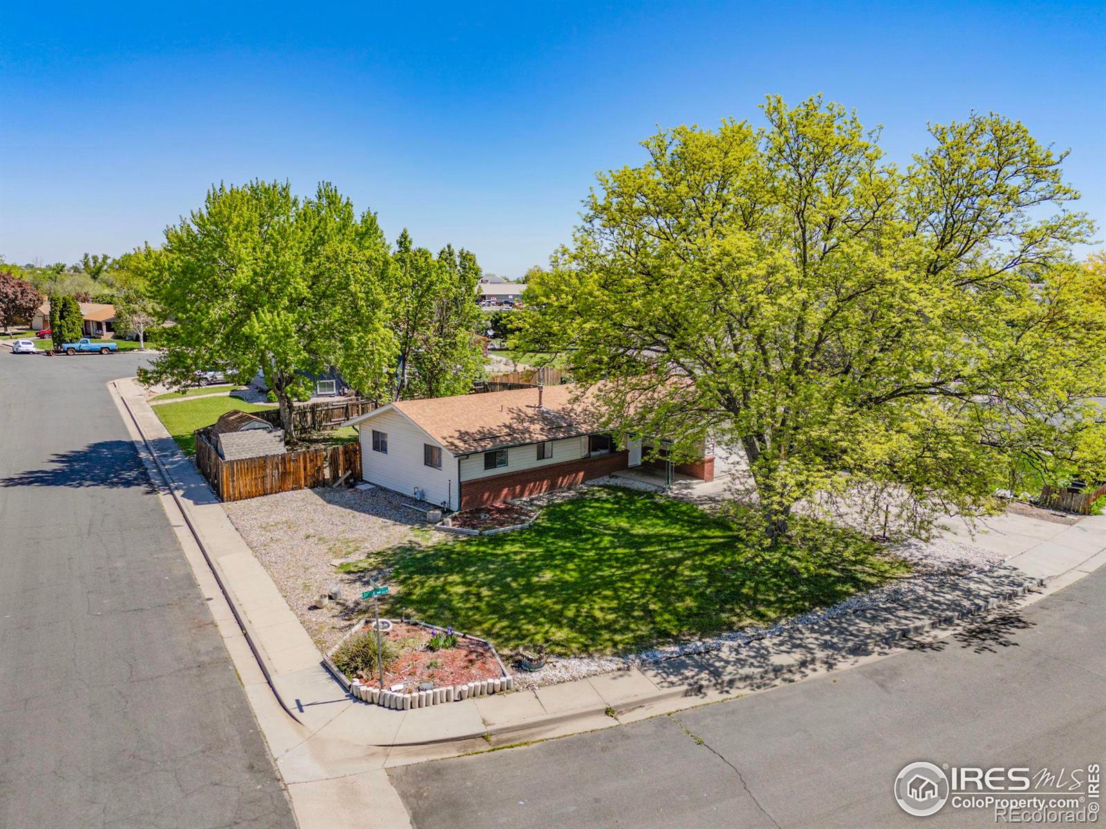 MLS Image #5 for 433  limber place,loveland, Colorado