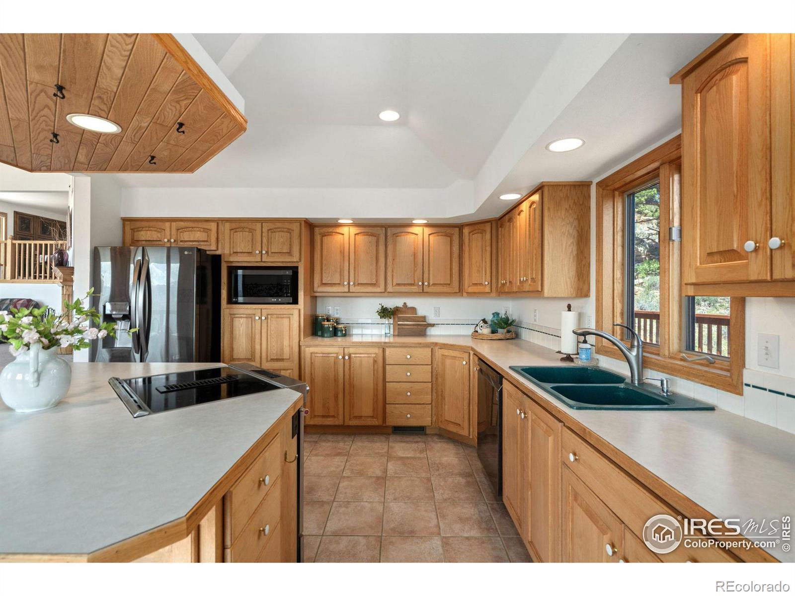 MLS Image #10 for 321  guardian peak drive,livermore, Colorado