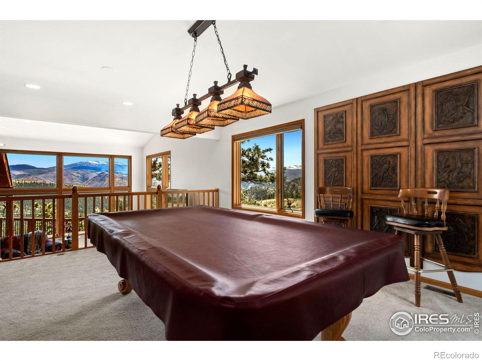 MLS Image #21 for 321  guardian peak drive,livermore, Colorado