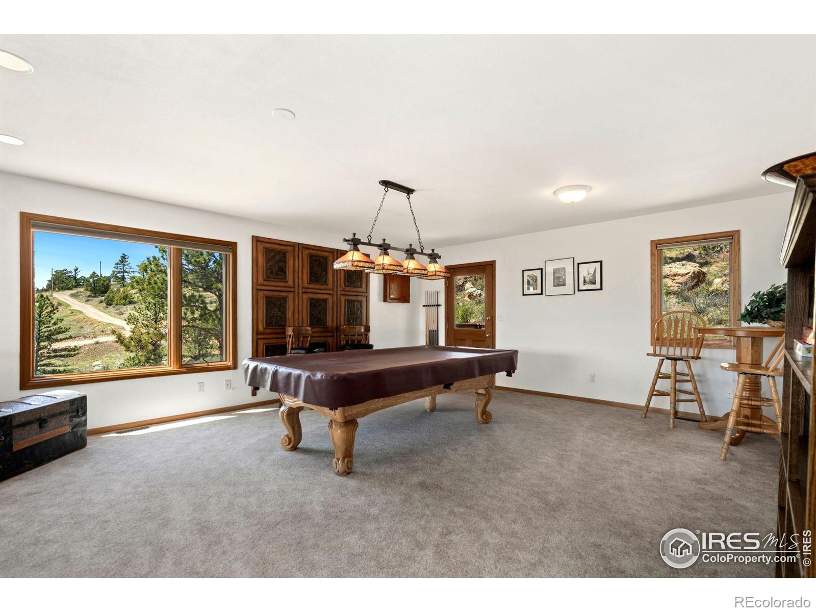 MLS Image #22 for 321  guardian peak drive,livermore, Colorado