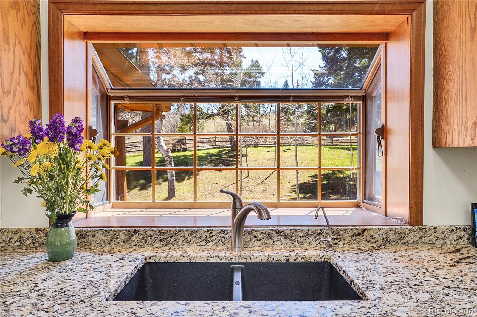 MLS Image #15 for 14697  dancing bear trail,littleton, Colorado
