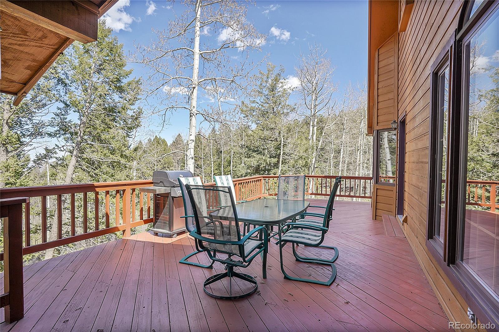 MLS Image #18 for 14697  dancing bear trail,littleton, Colorado