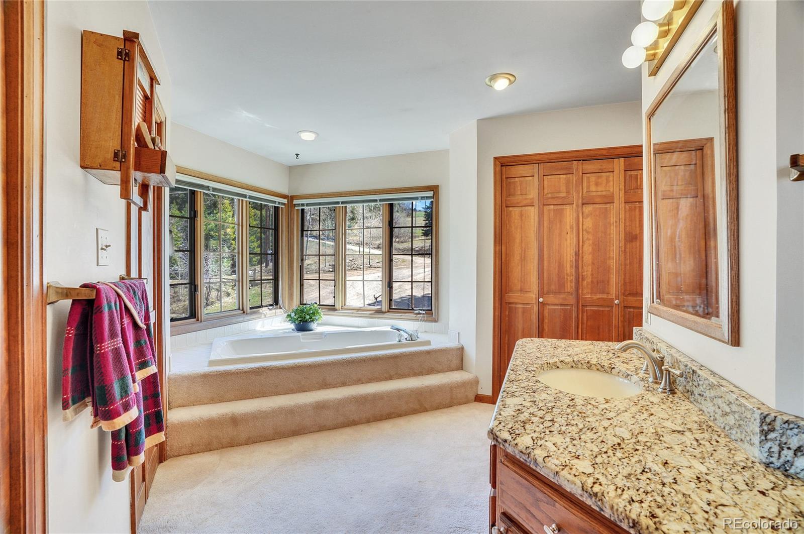 MLS Image #23 for 14697  dancing bear trail,littleton, Colorado