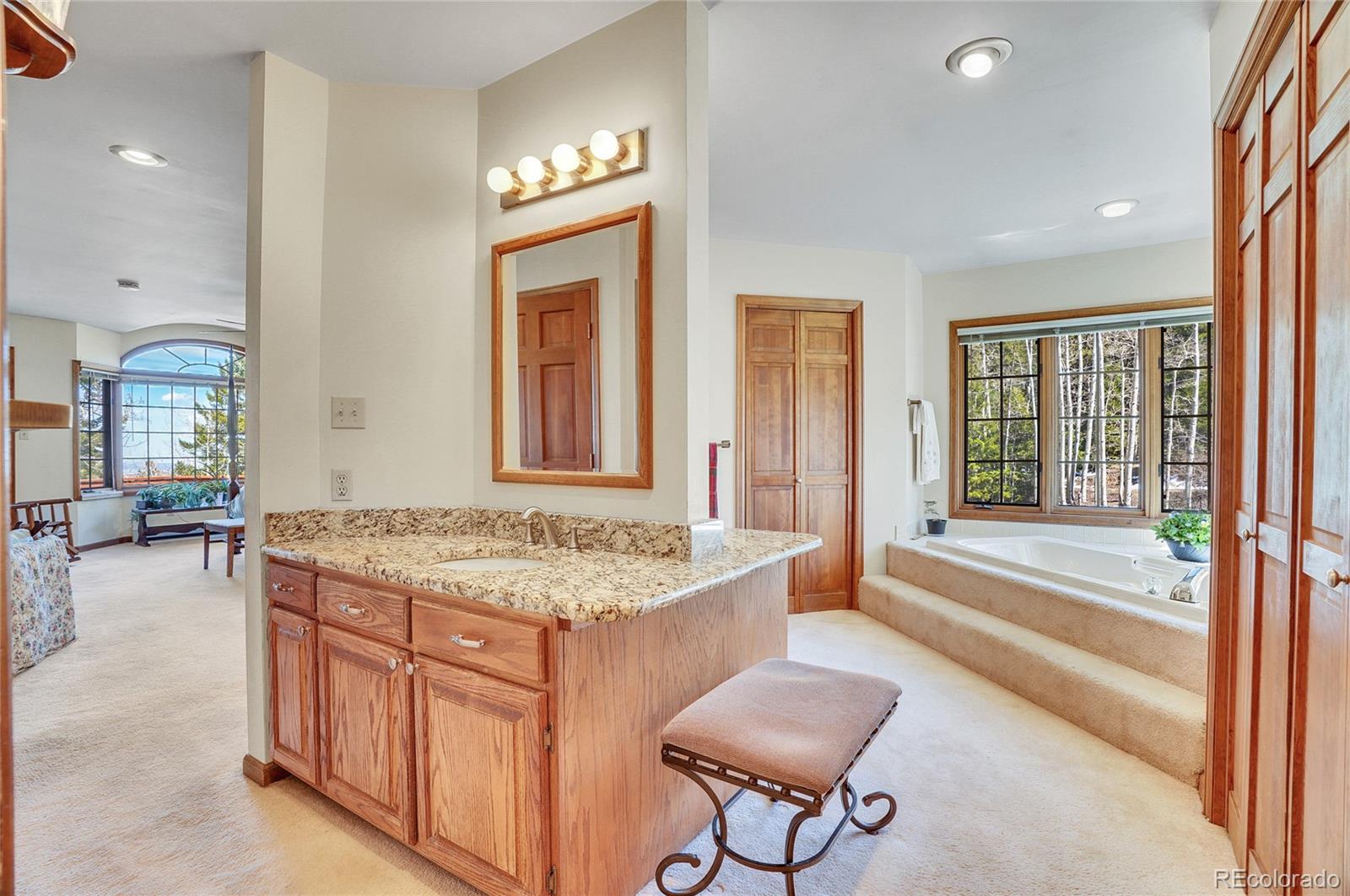 MLS Image #24 for 14697  dancing bear trail,littleton, Colorado