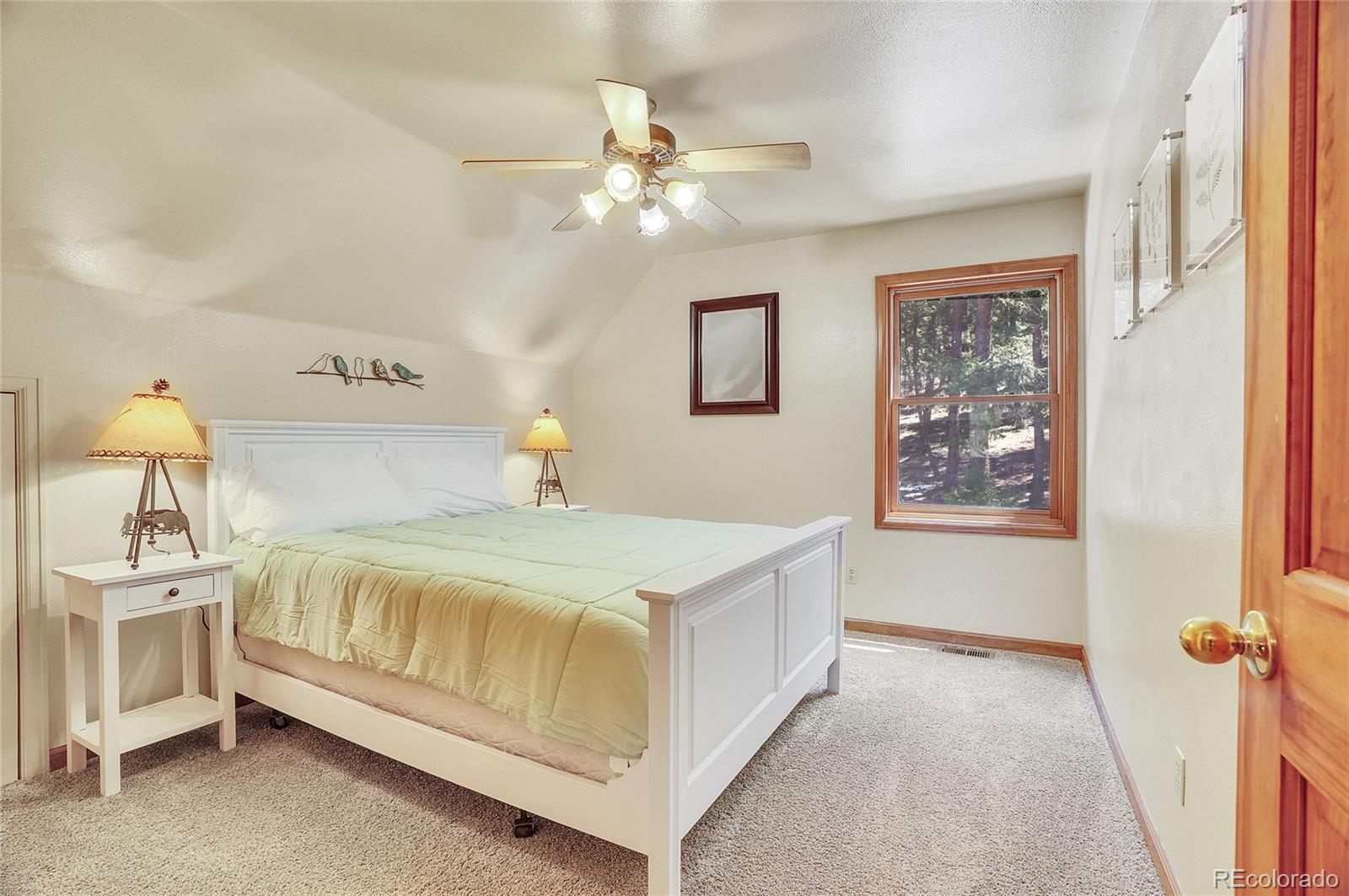 MLS Image #39 for 14697  dancing bear trail,littleton, Colorado