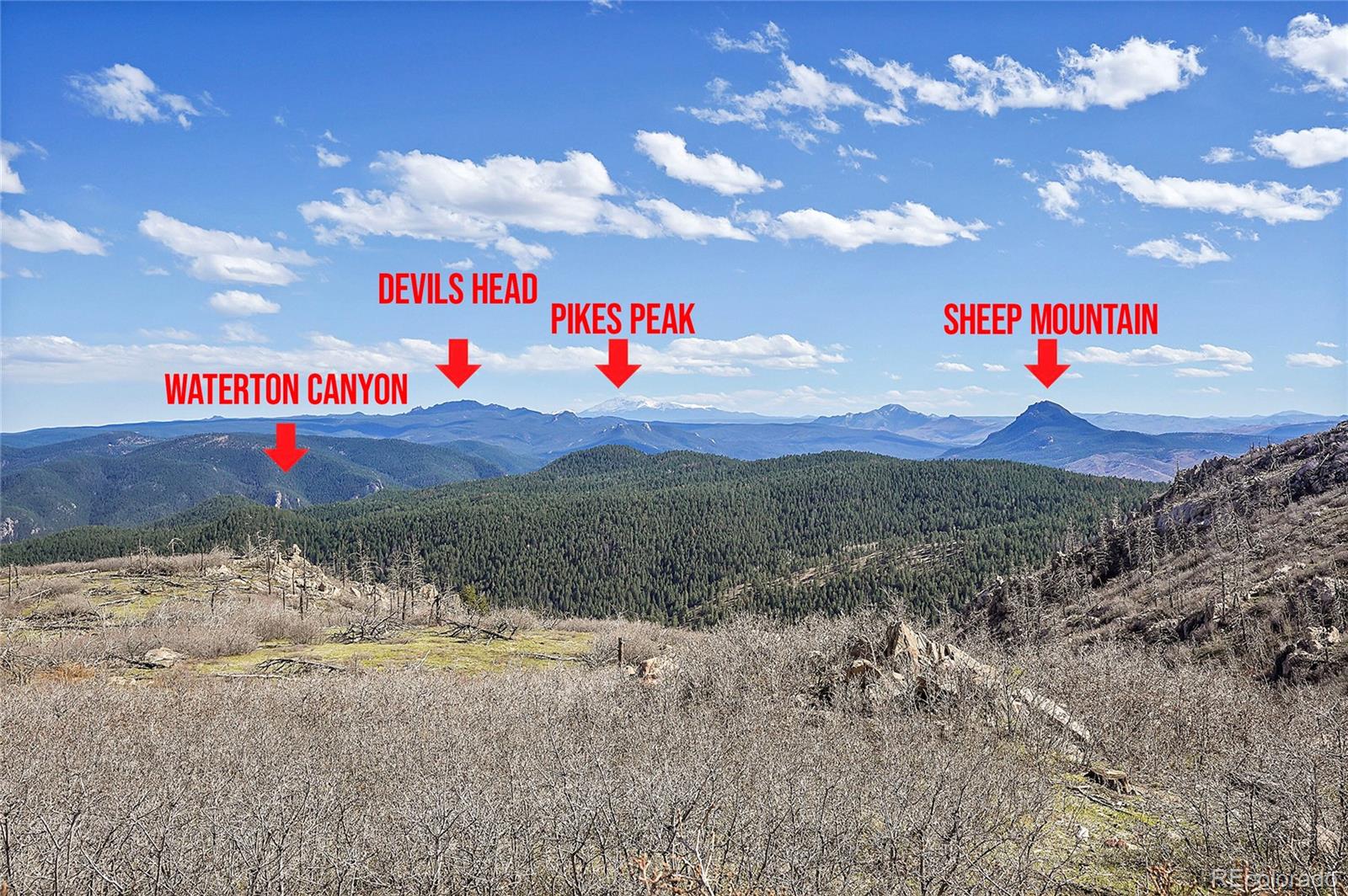 MLS Image #4 for 14697  dancing bear trail,littleton, Colorado