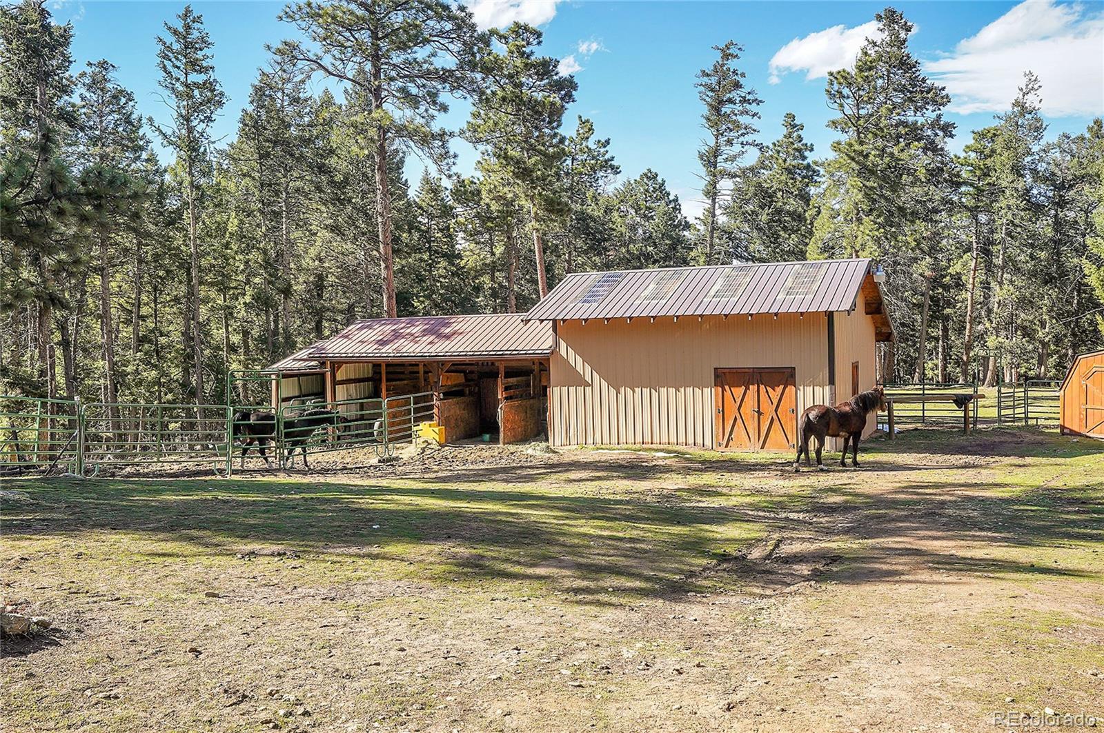 MLS Image #46 for 14697  dancing bear trail,littleton, Colorado