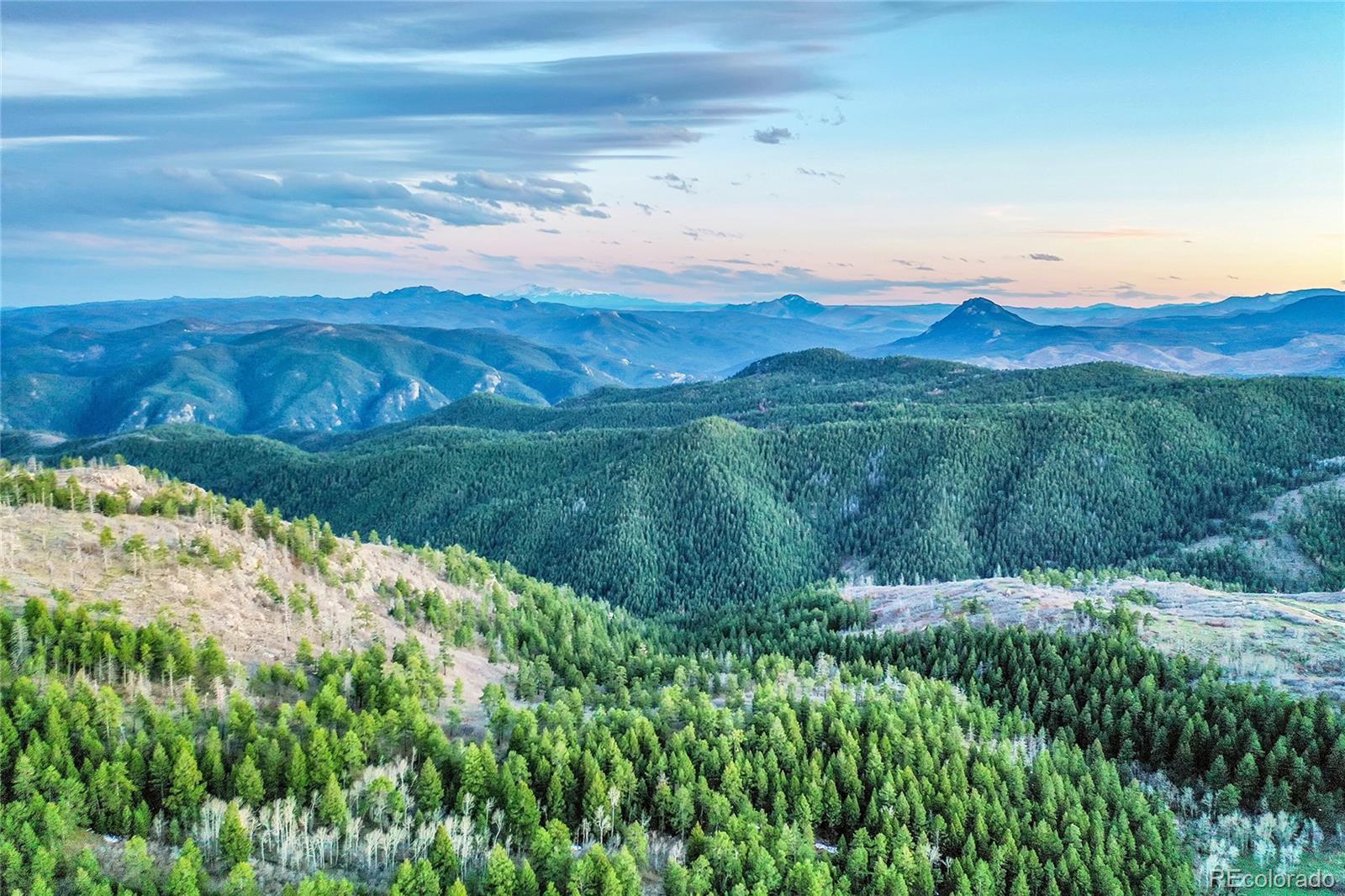 MLS Image #49 for 14697  dancing bear trail,littleton, Colorado