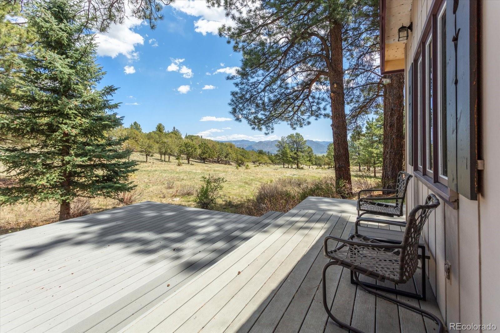 MLS Image #5 for 18085  rio hondo drive,buena vista, Colorado