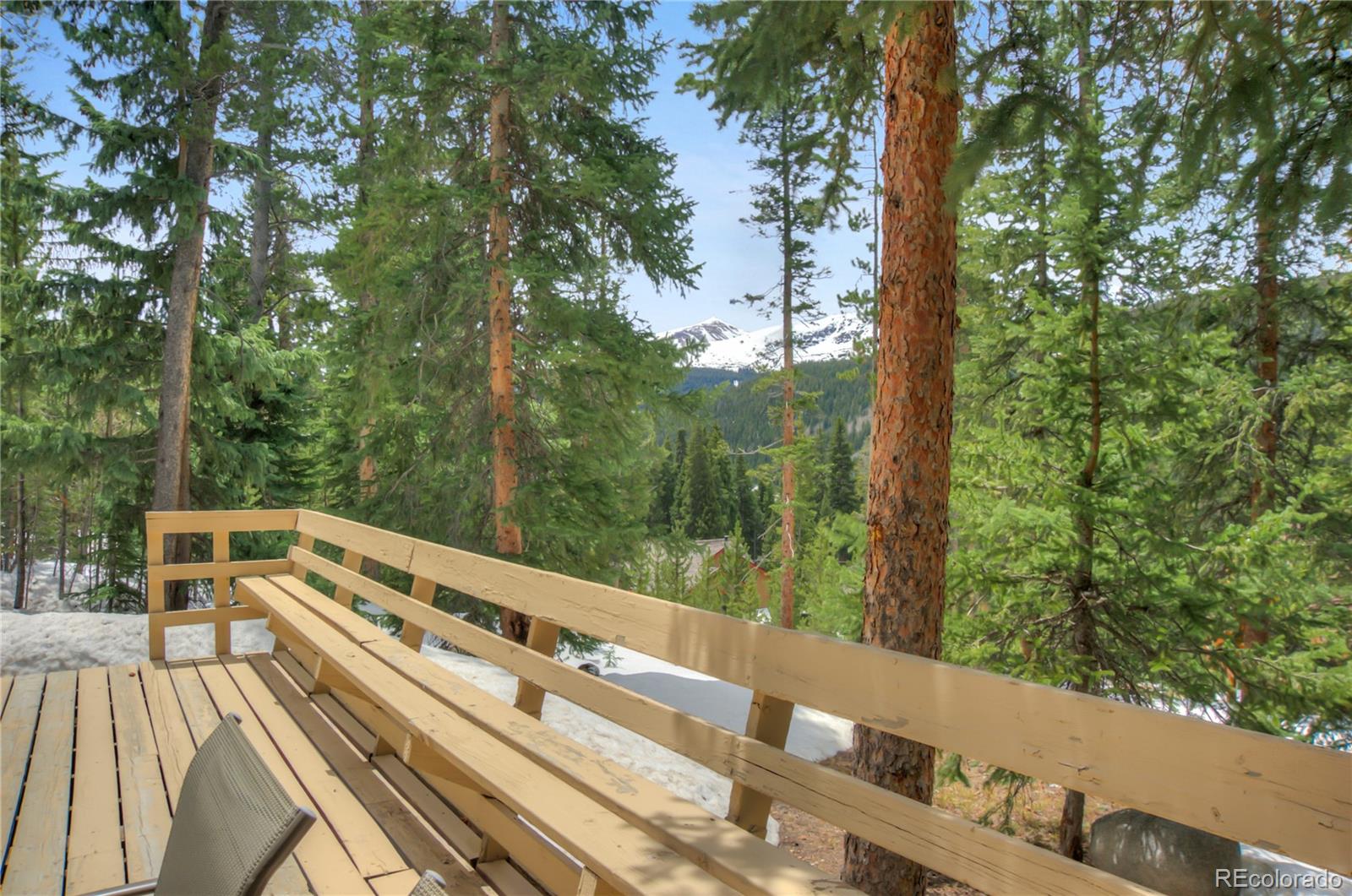 MLS Image #34 for 733  range road,breckenridge, Colorado