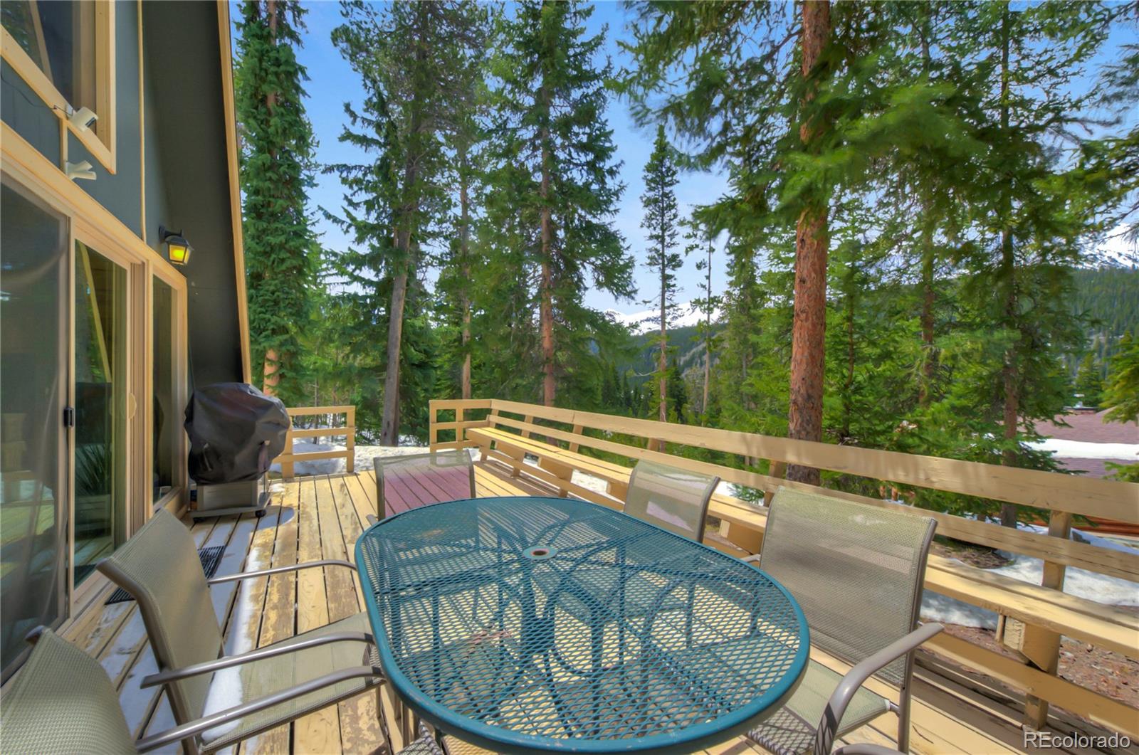 MLS Image #36 for 733  range road,breckenridge, Colorado