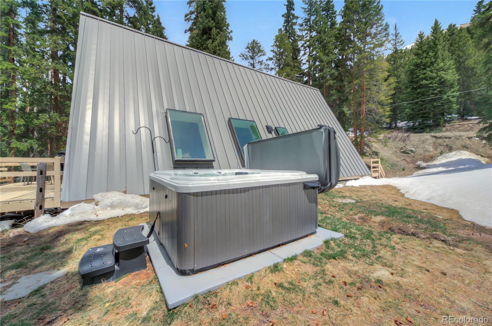 MLS Image #38 for 733  range road,breckenridge, Colorado