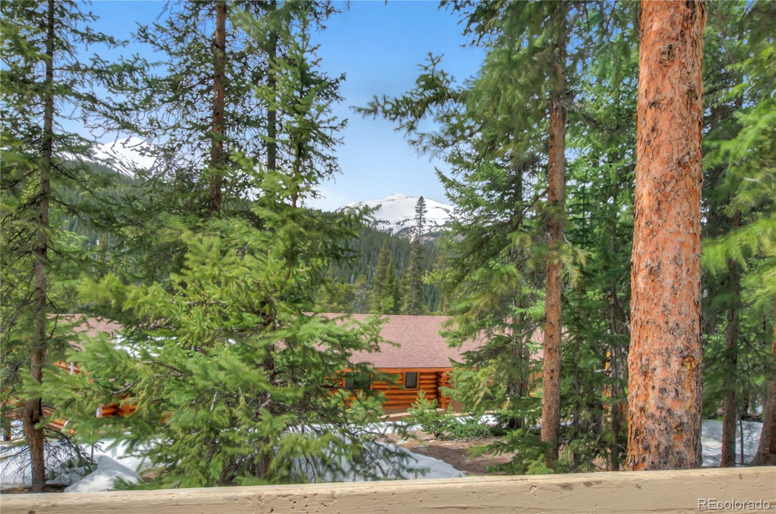 MLS Image #40 for 733  range road,breckenridge, Colorado