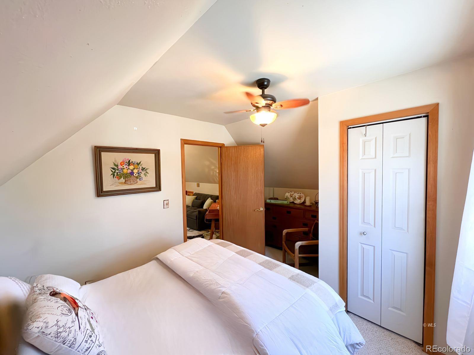 MLS Image #27 for 458  good hope drive,westcliffe, Colorado