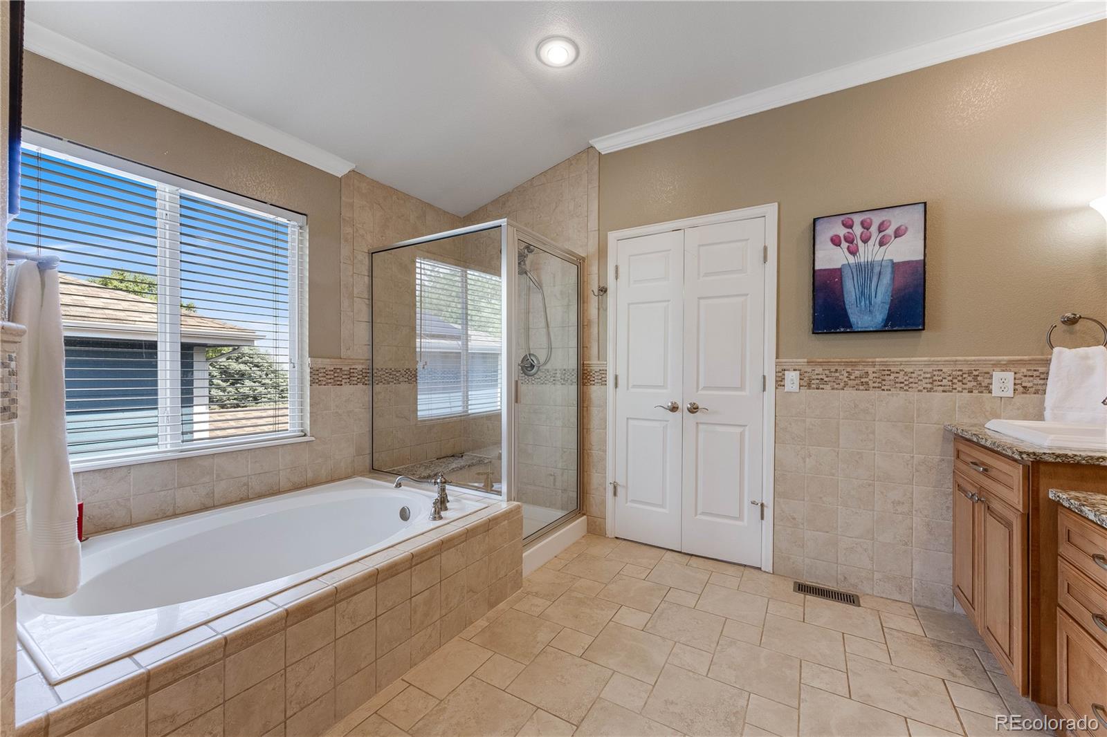 MLS Image #28 for 9915  keenan street,highlands ranch, Colorado