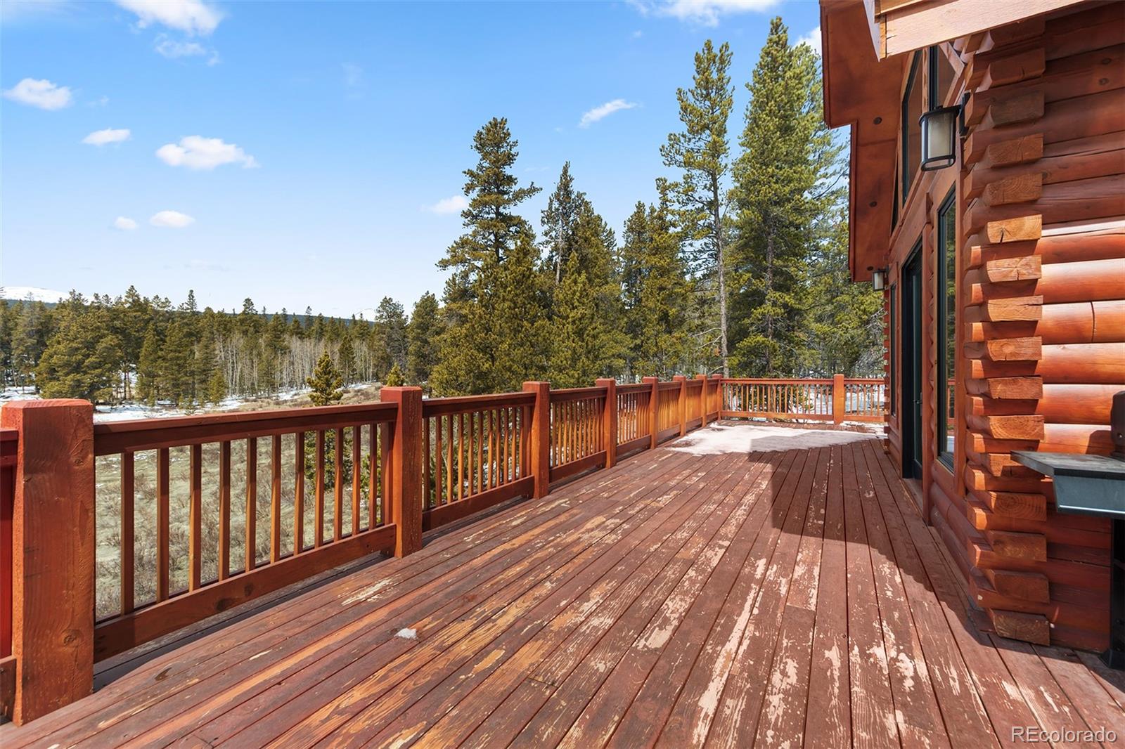 MLS Image #13 for 1477  lakeside drive,fairplay, Colorado