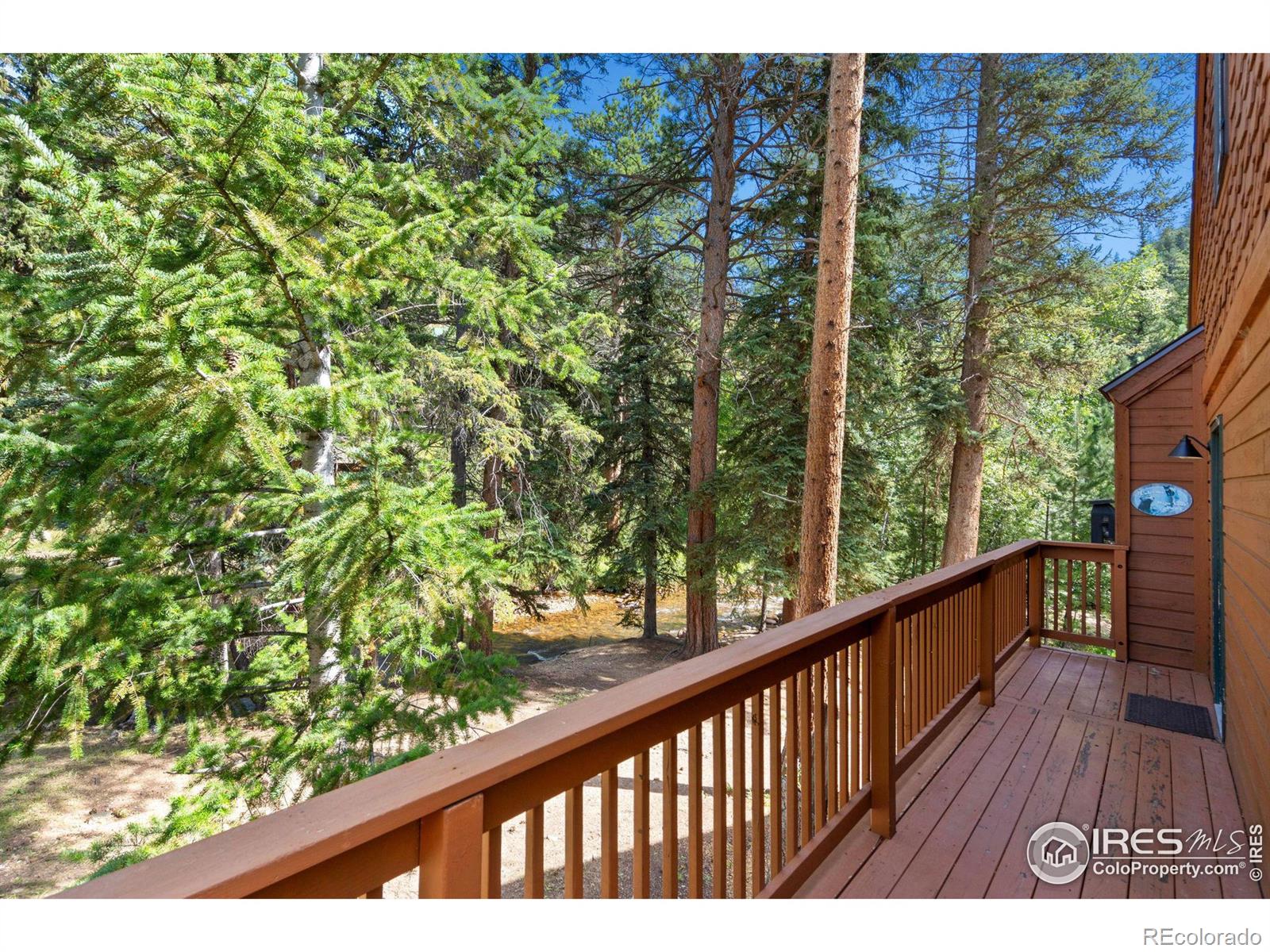 MLS Image #1 for 1400  david drive,estes park, Colorado