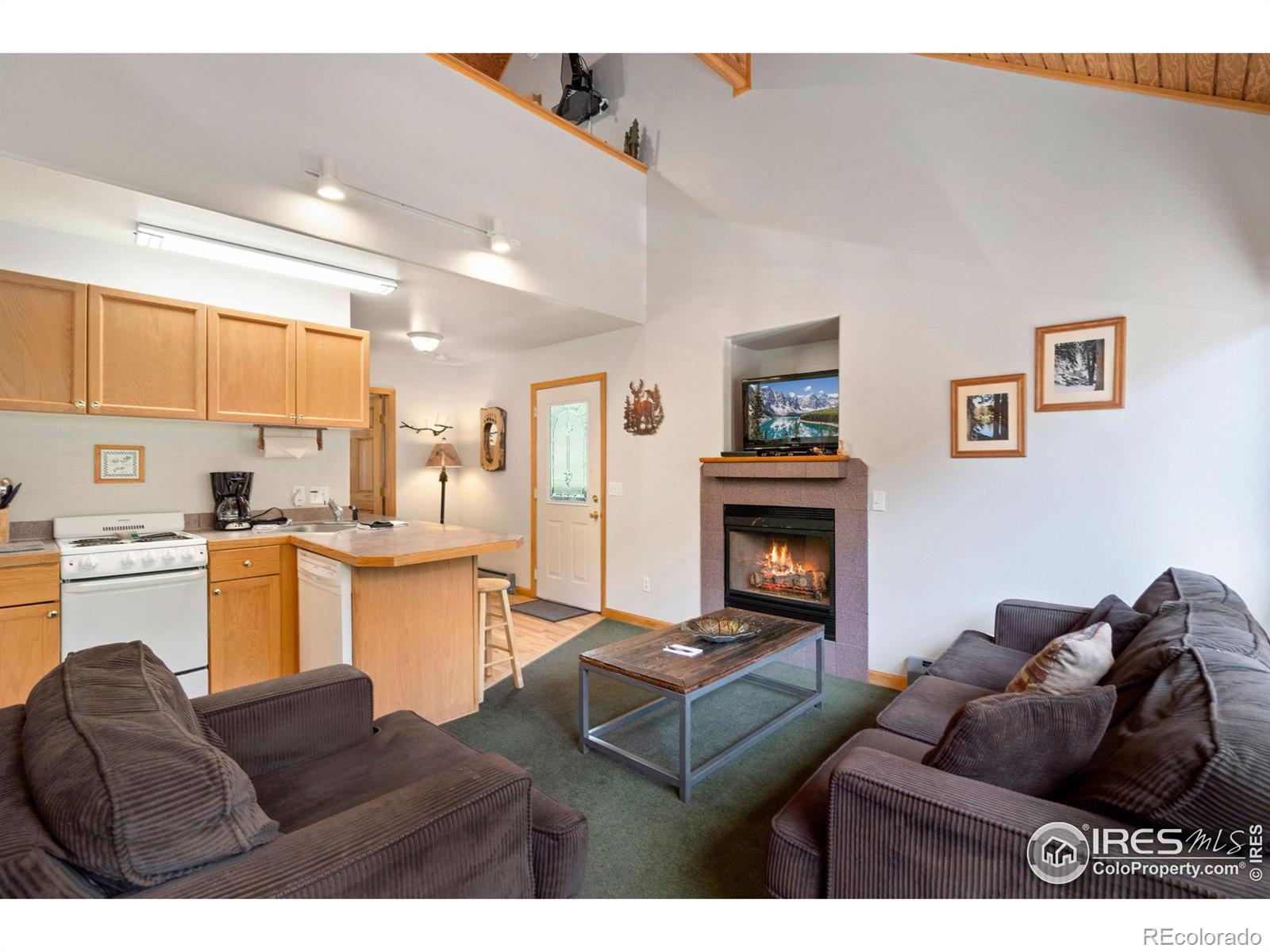 MLS Image #4 for 1400  david drive,estes park, Colorado