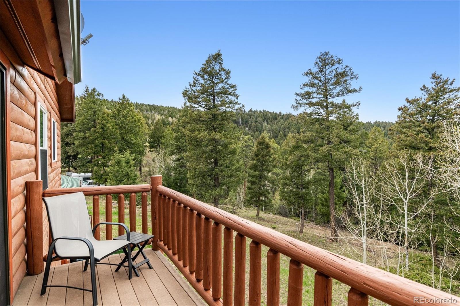 MLS Image #26 for 16861  wrangler trail,littleton, Colorado