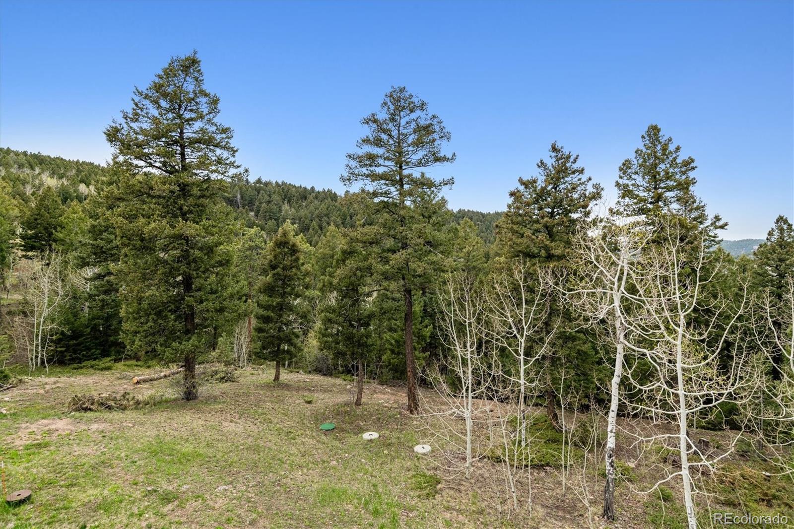 MLS Image #27 for 16861  wrangler trail,littleton, Colorado
