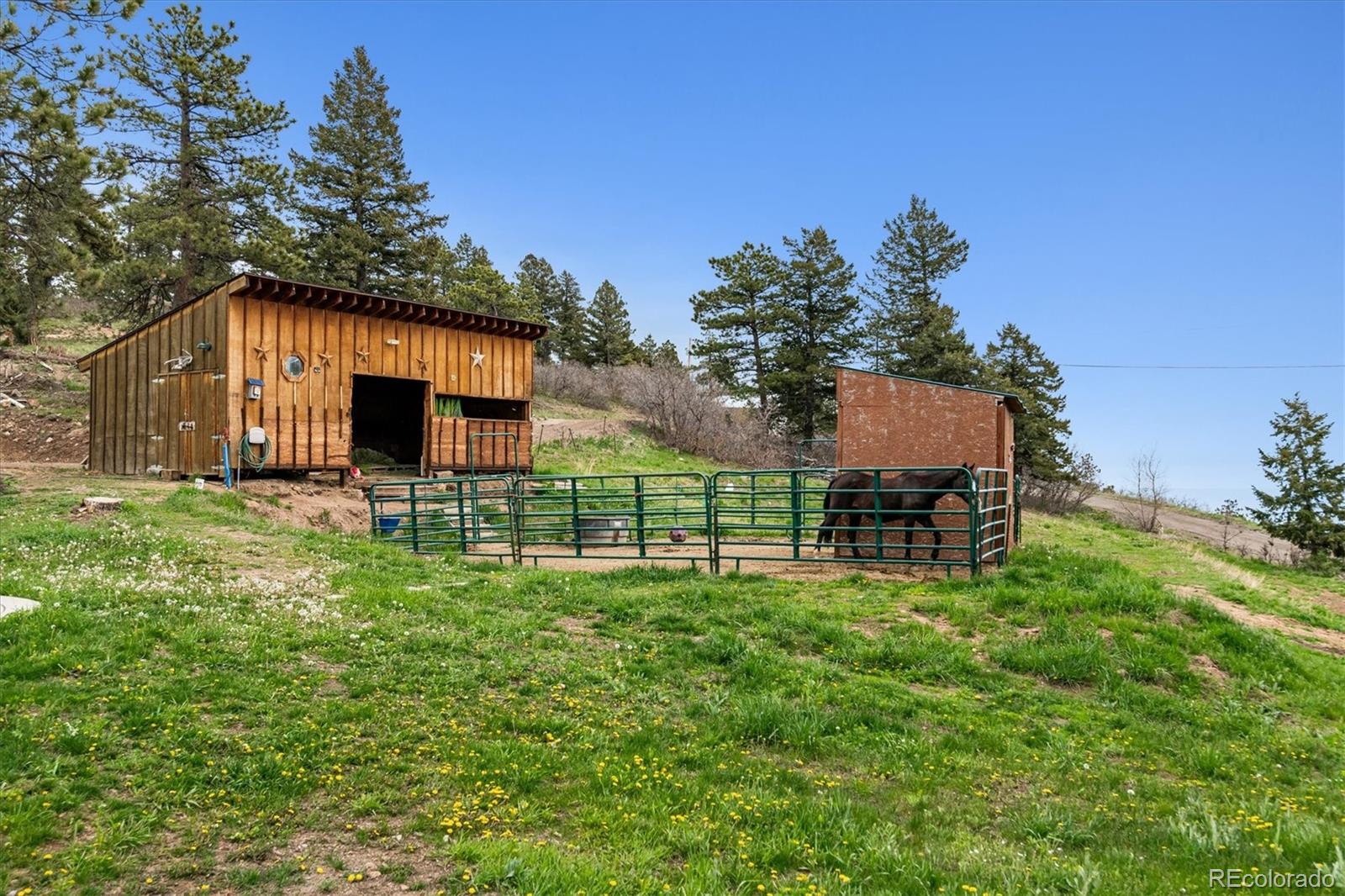 MLS Image #4 for 16861  wrangler trail,littleton, Colorado
