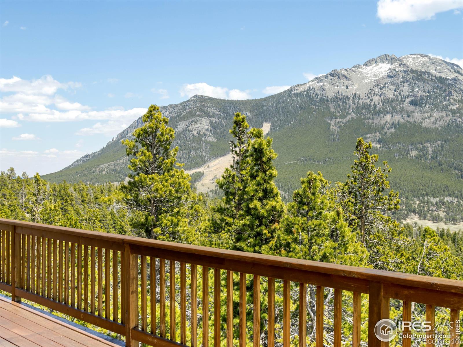 MLS Image #11 for 641  goblins castle road,estes park, Colorado